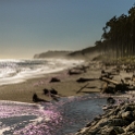 Bruce Bay